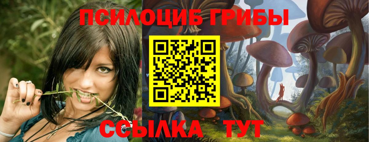 Псилоцибиновые грибы прущие грибы Татарск