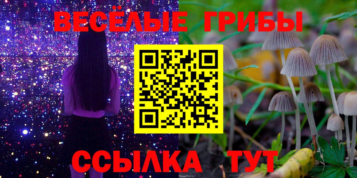 Татарск  Галлюциногенные грибы прущие грибы  Вход с VPN  Галлюциногенные грибы мухоморы 